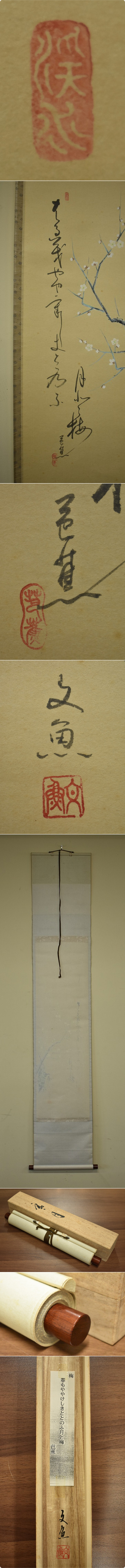 掛け軸 中谷文魚 俳画 寒牡丹 俳句 松尾芭蕉 紙本 希少 茶道具 掛軸 美